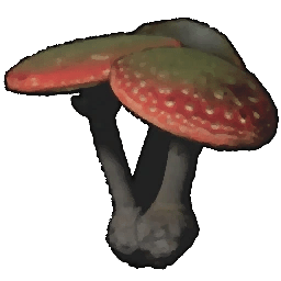 toxicmushrooms icon